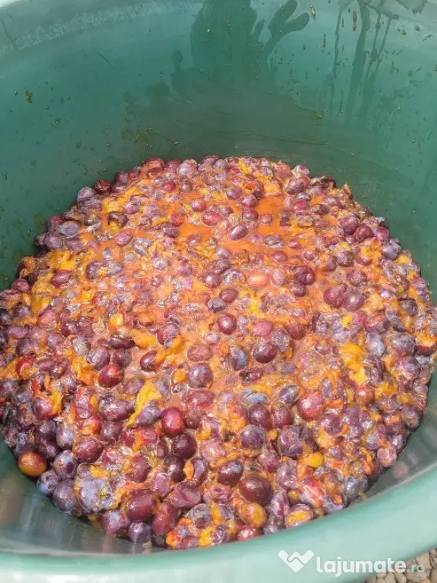 Vand prune din livada proprie,pentru consum,compot,magiun,borhot.
