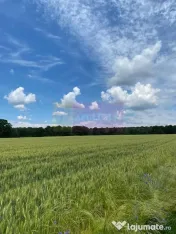 9,4 ha teren lângă DEx12 Pitești | 2,85 €/mp | lotur... 