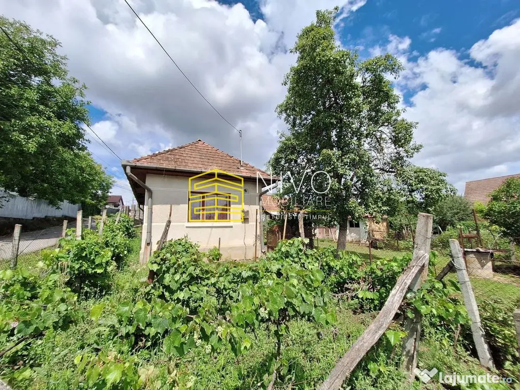 Casă singur în curte – Mureș – Livezeni – Zona L...
