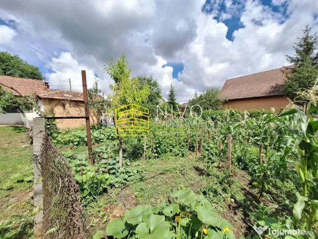 Casă singur în curte – Mureș – Livezeni – Zona L...