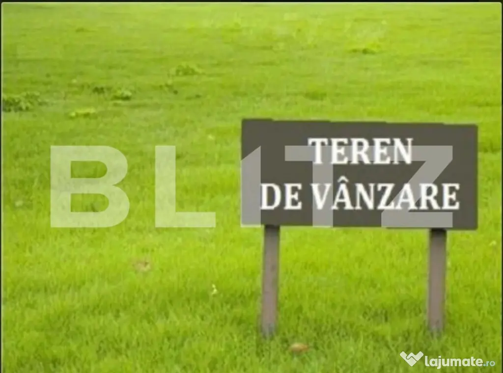 Teren intravilan de vanzare, 29 ari, Ilisesti