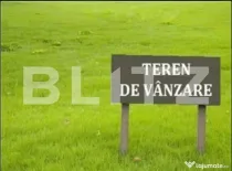Teren intravilan de vanzare, 29 ari, Ilisesti