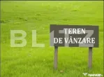 Teren intravilan de vanzare, 29 ari, Ilisesti