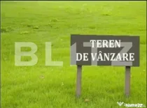 Teren intravilan de vanzare, 29 ari, Ilisesti