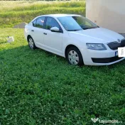 Vând Skoda Octavia 1.6 TDI   2016 