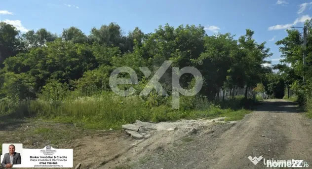 Teren intravilan 670 mp – Viforâta, com. Aninoasa, jud. D