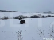 Teren intravilan de 713 mp in Deusu, la limita cu localitate