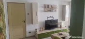 Proprietar,cameră cu baie la vilâ pt. fete,Centru,UMF N.Leon