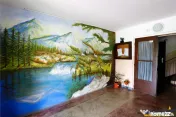 Apartament decomandat, vedere frumoasa, etaj2, Zarnesti, Bra