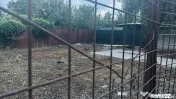 Teren intravilan 302 mp , urbanism , P+4, toate utilitățil 