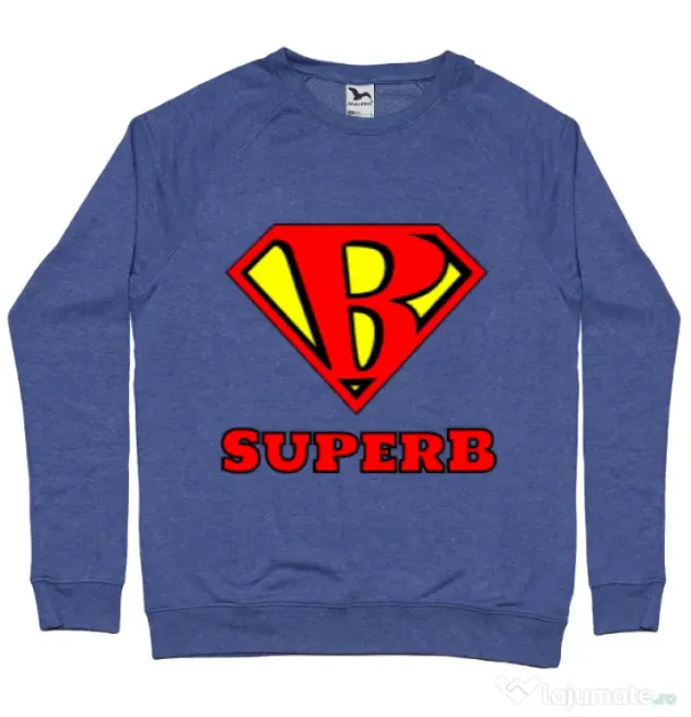 Bluza ADLER barbat Superb Albastru melanj