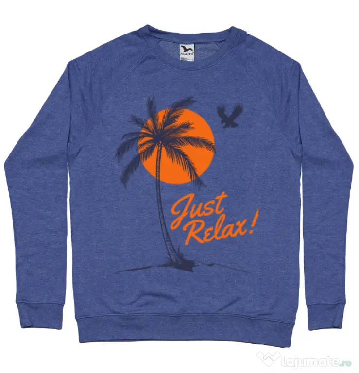 Bluza ADLER barbat Just relax Albastru melanj