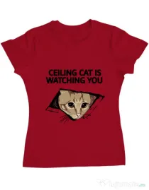 Tricou ADLER dama Ceiling cat Rosu