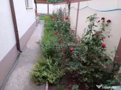 Casa - Vila - Prelungirea Ghencea - Margelelor - teren 300 