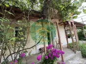 Casa de vanzare, zona Butea