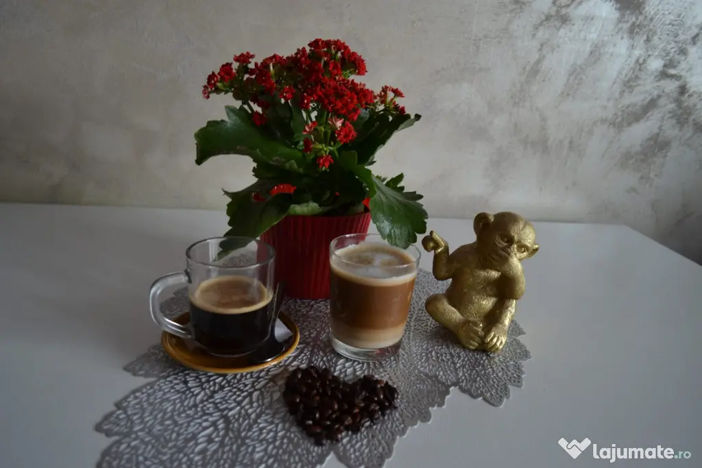 Vând Expresoare de Cafea