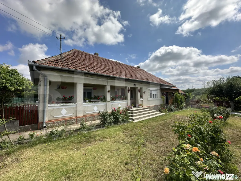 Casă de vânzare, 121 mp, teren și livadă 2.878 mp, local - Apa (Satu-Mare)