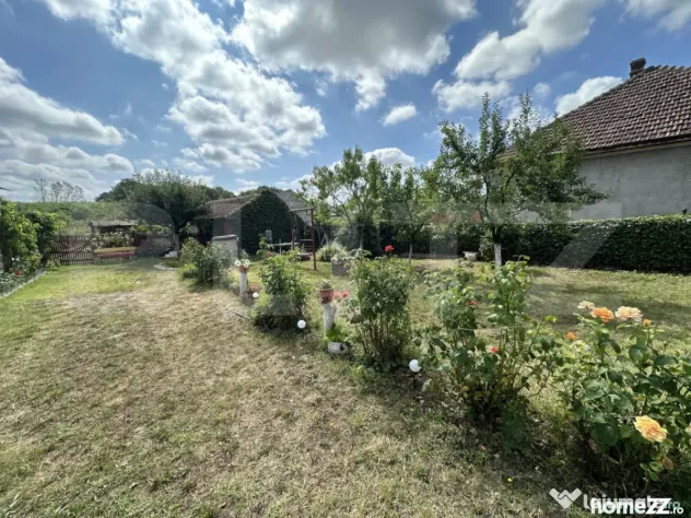 Casă de vânzare, 121 mp, teren și livadă 2.878 mp, local - Apa (Satu-Mare)