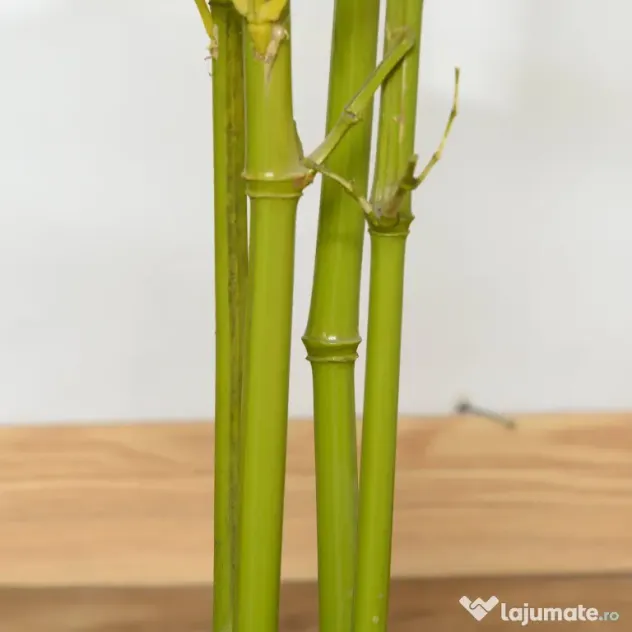 Bambus Artificial in Ghiveci Outsunny, Verde, Inaltime 120cm, Verde | Aosom Romania