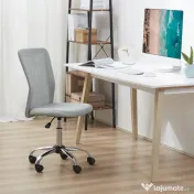 Vinsetto Scaun de Birou Ergonomic Fără Cotiere din Țesătură tip Plasă Gri | Aosom Romania 
