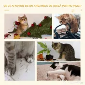 PawHut Copac pentru Pisici de 100 cm cu Pat Rotund, Stâlpi din Sisal și Acoperire de Pluș, Gri 
