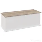HOMCOM Ladă de Depozitare pentru Interior 113L cu Capac Rabatabil din Lemn pentru Dormitor și Hol, 100 x 40 x 40 cm, Alb