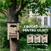 PawHut Set de 3 Căsuțe pentru Lilieci din Lemn de Brad, 18x6x22.5 cm, Lemn Natural | Aosom Romania 