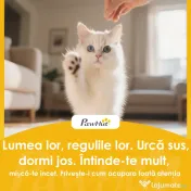 PawHut Litieră pentru Pisici cu Capac, Litiere Pisici cu Tavă și Lopățică Inclusă, Saci Deodorant, Ușor de Curățat, Alb și Gri | Aosom Romania 