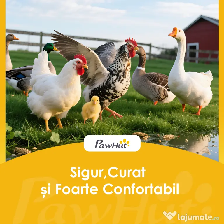 PawHut Coteț din Lemn cu 2 Căsuțe, Coteț pentru Găini de Exterior cu Acoperiș Impermeabil, Tavă Detașabilă și Bare, Adăpost pentru 2-4 Găini, Rațe, Grădină, 150x100x96,5 cm, Galben | Aosom Romania