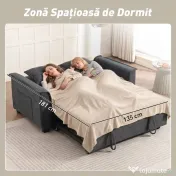 HOMCOM 3 în 1 Canapea Extensibilă 2 Locuri cu Spătar Reglabil în 3 Poziții și 2 Perne Chenille, Gri Închis | Aosom Romania
