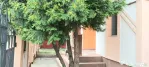 Casa individuala P M de inchiriat nemobilata - Lipovei -