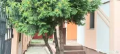 Casa individuala P M de inchiriat nemobilata - Lipovei -