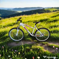 Bicicleta X-FACT Mountain Bike 