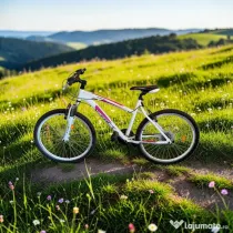 Bicicleta X-FACT Mountain Bike