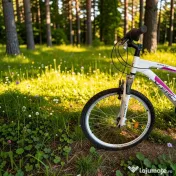 Bicicleta X-FACT Mountain Bike 