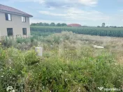 Teren intravilan 502 mp, zona Titulescu 