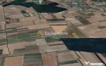 Teren mare Dascalu / Ilfov – lângă A0, deschidere la ...