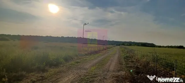 Săbăreni, lot de casă 550 mp, în Complex Rezidential - Sabareni (Giurgiu)