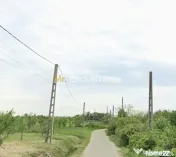 TEREN POIANA LACULUI 