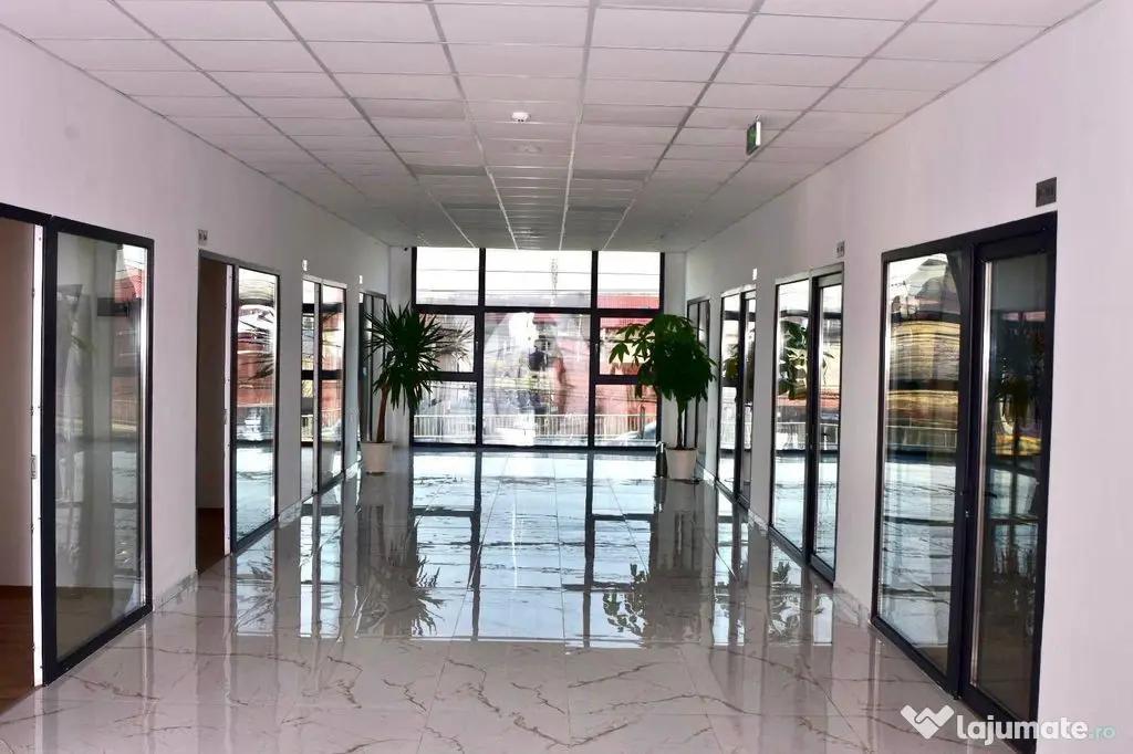 Imobil P+1 Sos Colentina Stradal ideal Shoroom