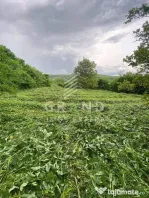 Teren 2200 mp, în Rădaia, com Baciu