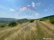 Teren Intravilan | Investitie | Baciu | Comision 0% 