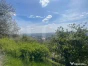 Teren intravilan 890 mp – Colonia Breaza - Panorama deoseb 