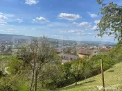 Teren intravilan 890 mp – Colonia Breaza - Panorama deoseb 