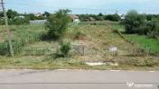 Teren intravilan Calienii Noi