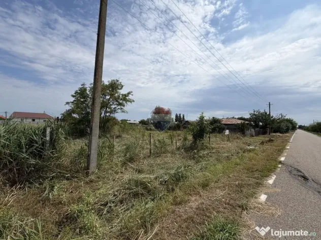 Teren intravilan Calienii Noi