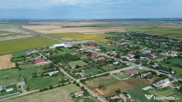 Teren intravilan Calienii Noi