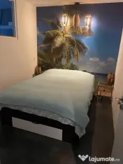 Nerva traian timpuri noi etaj 2 