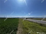 Teren intravilan de 19264 mp situat in zona Industriala Vest