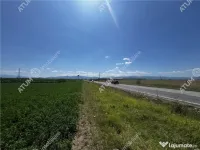 Teren intravilan de 19264 mp situat in zona Industriala Vest 